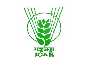 ICAR Logo